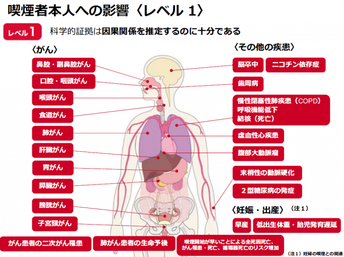 喫煙者本人への影響(レベル1)